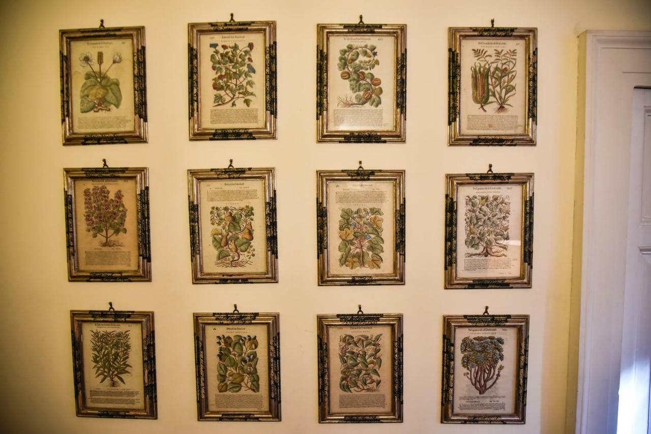 Stylish Apartment In Central Rome "Centro Storico" ภายนอก รูปภาพ