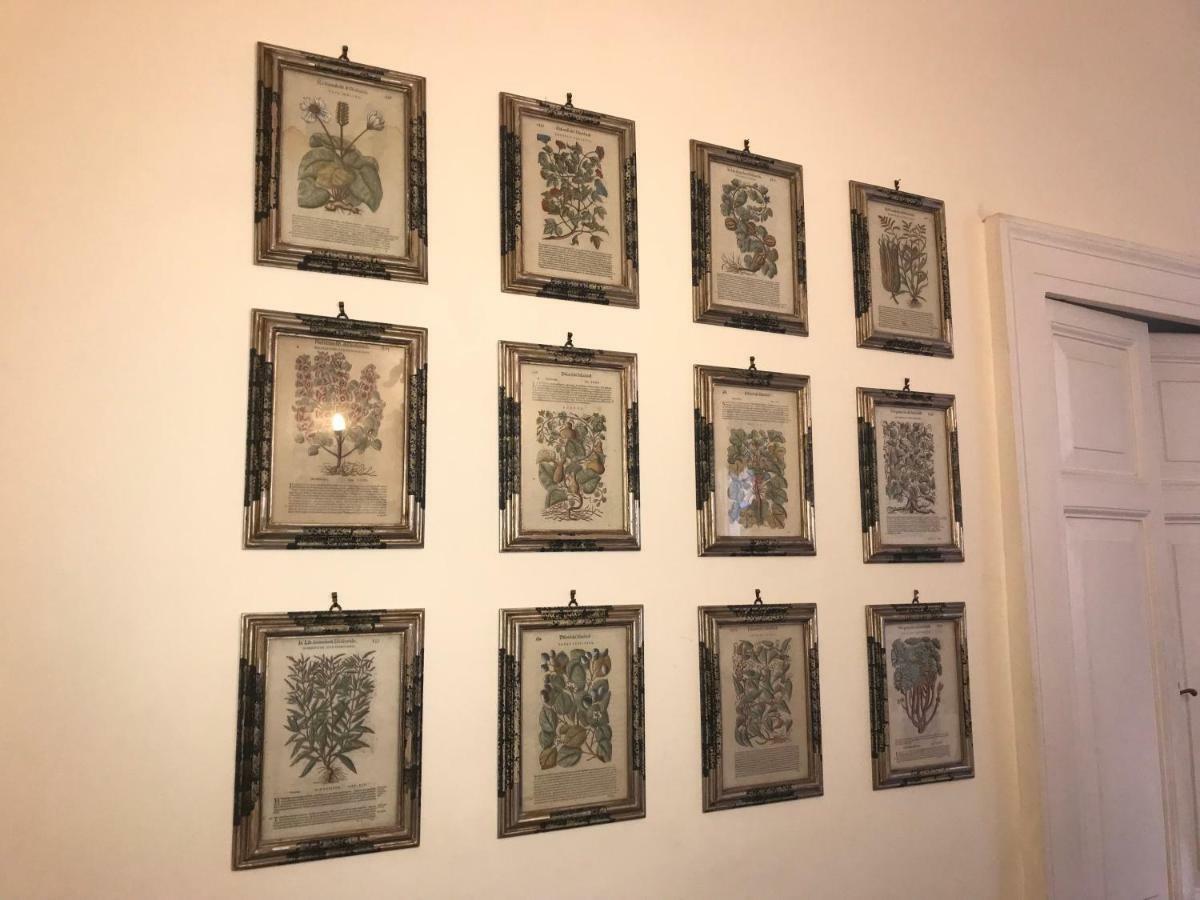 Stylish Apartment In Central Rome "Centro Storico" ภายนอก รูปภาพ